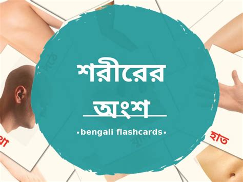 Free Body Parts Flashcards Pdf Bengali Words