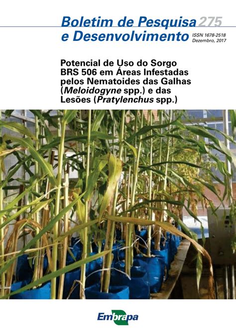 PDF Potencial de uso do sorgo BRS 506 em áreas infestadas pelos