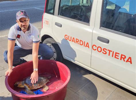 Tartaruga Ferita Salvata Dai Militari Della Guardia Costiera A Giardini