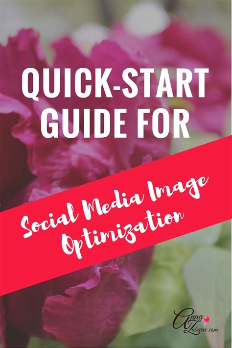 Flowers With The Words Quick Start Guide For Social Media Image