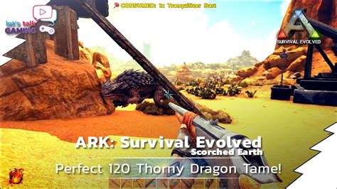 Ark Scorched Earth 15 Perfect Tame Thorny Dragon Youtube