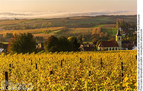 Photo Vignoble de Rott en automne et église Saint Georges Parc