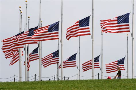 Rows Of American Flags On Memorial Day Memorial Day Pictures