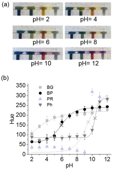 Chemosensors Free Full Text Precise Integration Of Polymeric