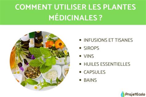 PHYTOTHÉRAPIE DÉFINITION UTILISATION des PLANTES MÉDICINALES