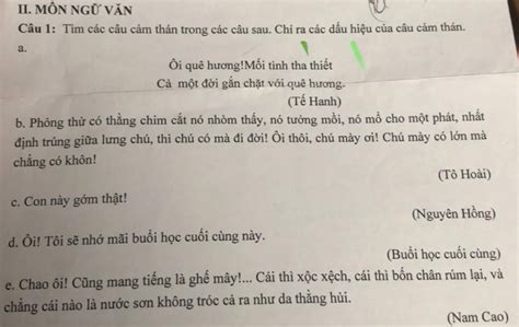 II. MÔN NGỮ VĂN Câu 1: Tìm các câu cảm thán trong các câu sau. Chi ra ...