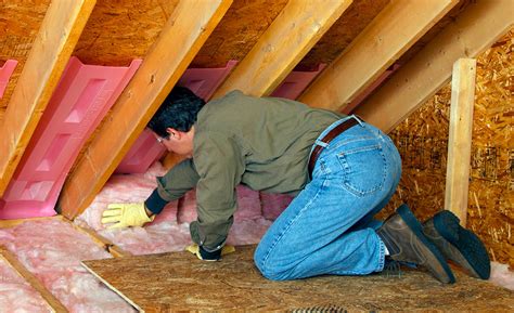 ultimate insulation guide      bit net