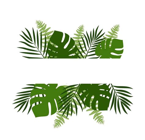 Green Summer Tropical Background With Exotic Palm Leaves And Plants