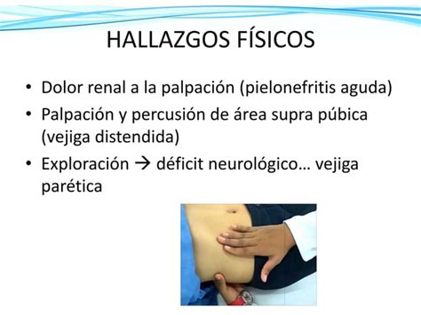 Reflujo Vesico Ureteral Mm Ppt Descarga Gratuita