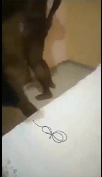 Naked Black Man Being Beaten By His Wife ThisVid