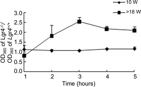 Oxidation Induced Denaturation Of Proteins In Lgr4 Knockout Download Scientific Diagram