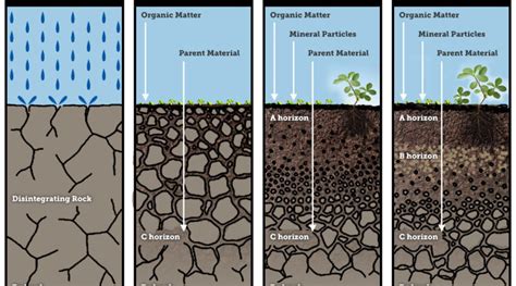 Soil Formation and Soil Types - CivilArc