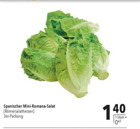 Spanischer Mini Romana Salat Angebot Bei CITTI Markt 1Prospekte De