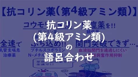 薬理学 ゴロ 神経筋接合部遮断薬 末梢性筋弛緩薬 の語呂合わせ ゴリ薬