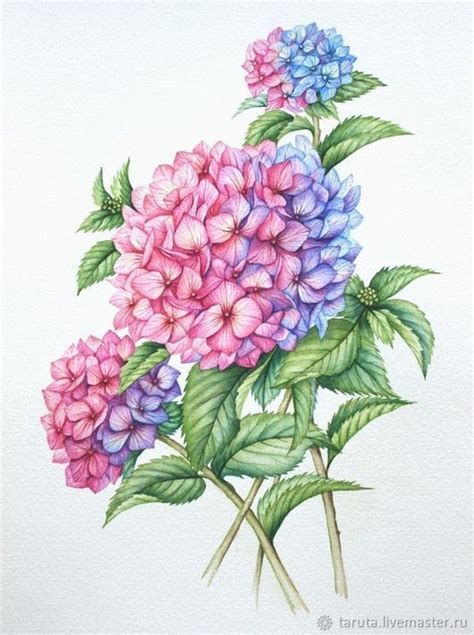 Pin By T Lin Uncu On S Sen Flower Drawing Flower Art Drawing