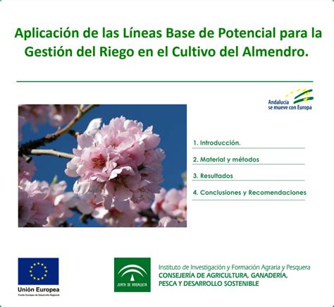 Aplicación de las Líneas Base de Potencial para la Gestión del Riego en