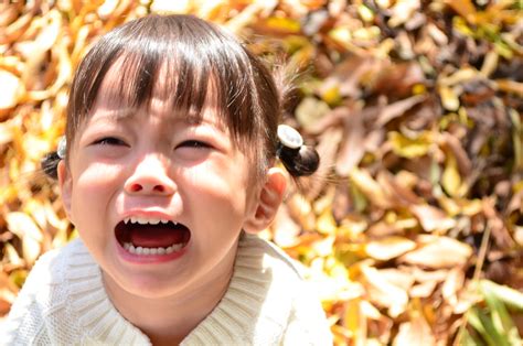 いつまで続く？保育士も悩むイヤイヤ期の子どもの保育園での対応方法 すてきな保育士の仕事