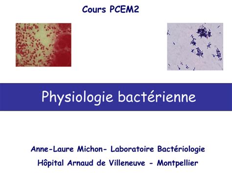 Physiologie Bact Rienne