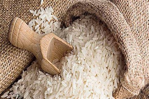 Commerce Ministry Central Government Not To Allow Exports Of Basmati