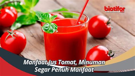 Manfaat Jus Tomat Minuman Segar Penuh Manfaat Biotifor