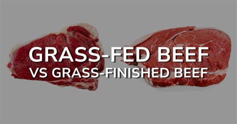 Grass Fed Beef Vs Grass Finished Beef Confusing Meat Choices Intelligent Wellbeing