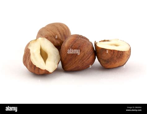 Hazel Nut Isolated On White Background Stock Photo Alamy