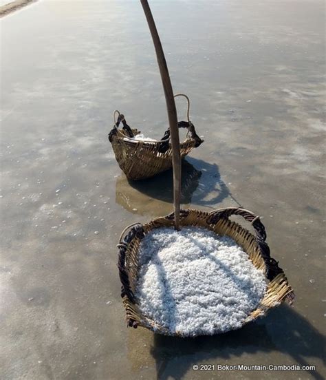 The Salt Fields of Kampot, Cambodia.