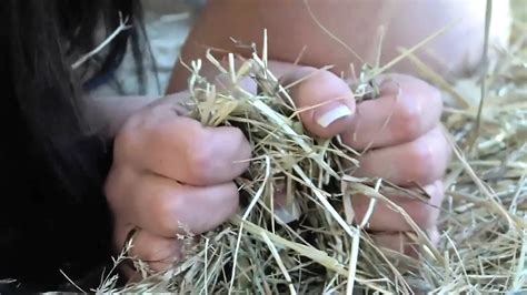 Free Brunette Fuck Porn Videos Xhamster