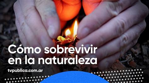 Técnicas para sobrevivir en la naturaleza Todos Estamos Conectados