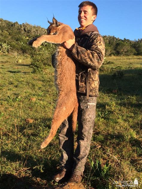 Caracal Hunt South Africa | AfricaHunting.com