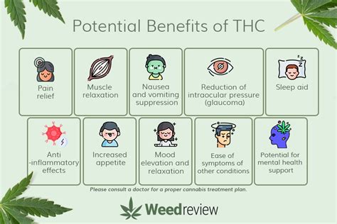 What Is THC Benefits Uses Legality Weed Review