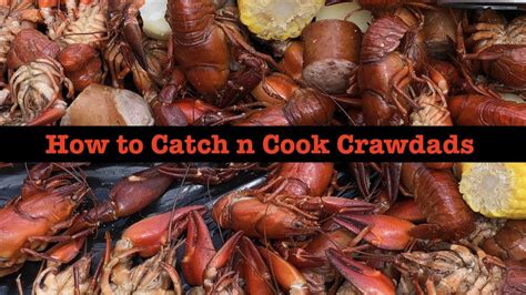 Catch And Cook Crawdads Delicious Simple Recipe Youtube