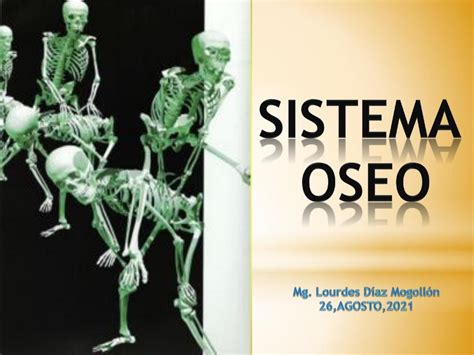 Sistema Seo Sherley Julcarima Udocz