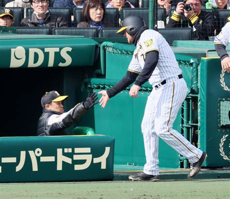 【阪神】岡田監督8連敗後に何を語る「悪いやつは結果出ない」8四球中継ぎ陣バッサリ／一問一答 プロ野球写真ニュース 日刊スポーツ