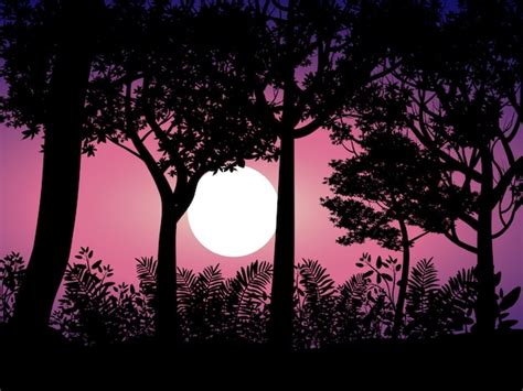 Premium Vector Beautiful Night Illustration With Moonlight In Forest