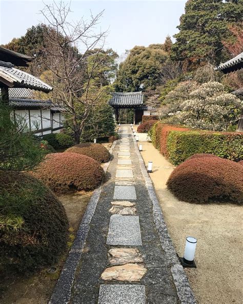 An Empty Path In The Middle Of A Garden