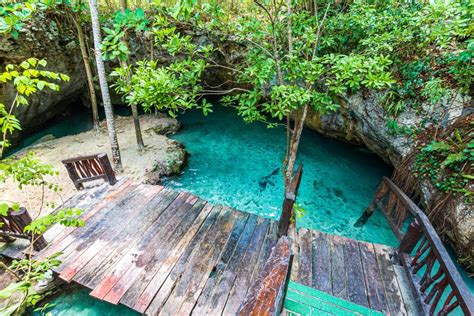 Best Cenotes Near Playa Del Carmen 5 Amazing Cenotes