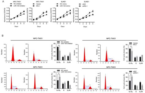 Mir 144 Inhibits Cell Proliferation Potentially Via Targeting Irs 1 In Download Scientific