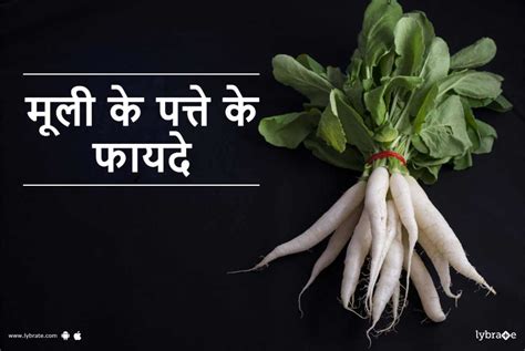 Radish Leaves Mooli Ke Patte Benefits In Hindi मूली के पत्ते के