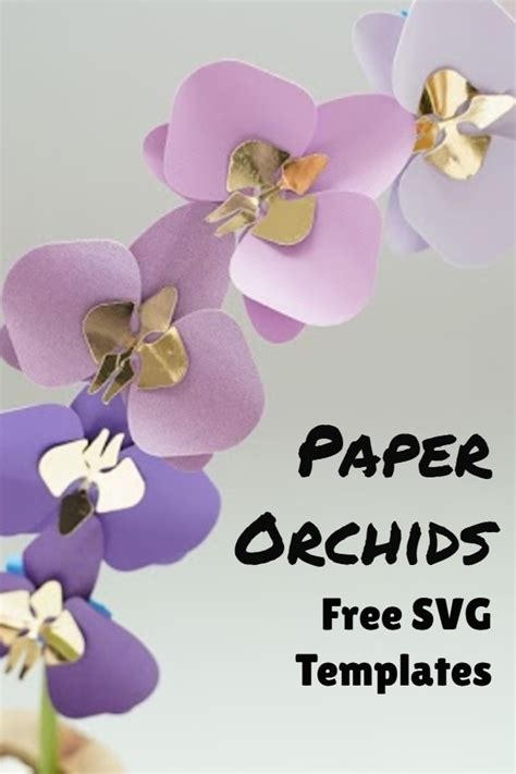 Paper Orchid Flower