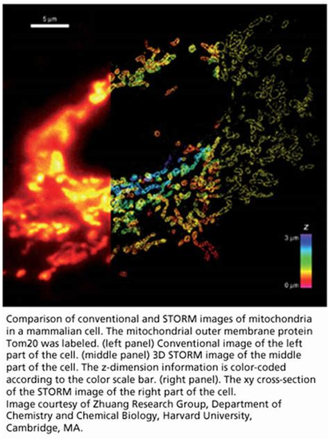 Nikon Corporation Acquires License From Harvard University For “storm” Super Resolution