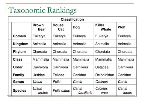 Ppt Taxonomy Classification Powerpoint Presentation Free Download