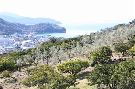 澄み切った、小豆島の景色！