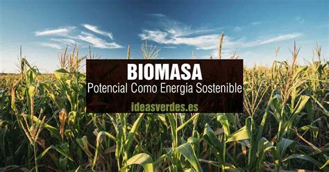 El Potencial De La Biomasa Como Energ A Sostenible Ideas Verdes