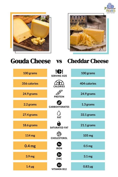 Gouda Vs Cheddar Cheese What S The Taste Difference And Nutritional Comparison