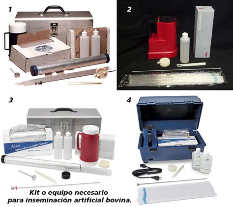 Generalidades De La Ganader A Bovina Inseminaci N Artificial Materiales