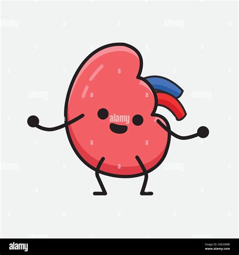 Vector Illustration Of Kidney Character With Cute Face And Simple Body