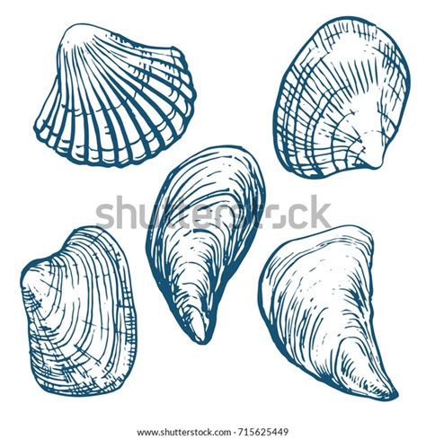 Sea Shell Oyster Mussel Set Ink Stock Vector Royalty Free 715625449