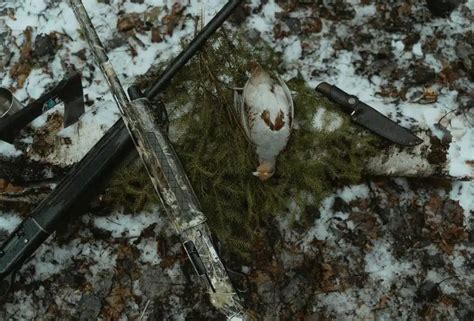 Comment se débarrasser de la mérule grâce à l eau de javel Cileo Habitat