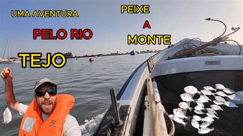 Pescaria Pelo Rio Tejo Peixes Porco Choupas E Mais Youtube